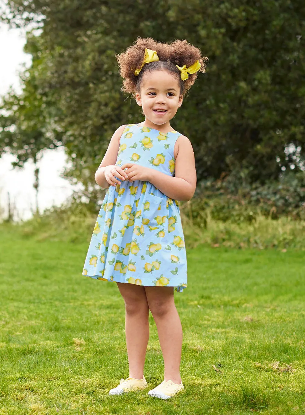 Adelina Summer Dress in Blue Lemon