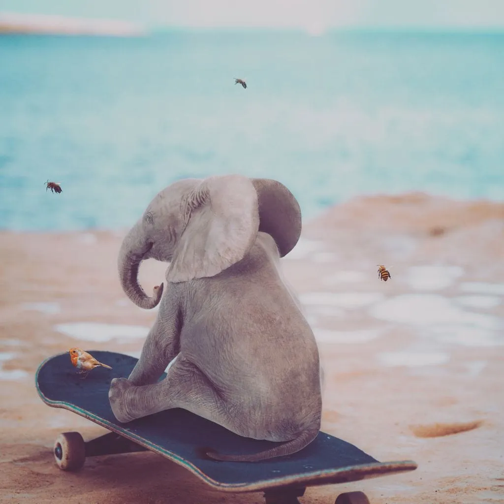 Baby Elephant on Skateboard - Gen Z