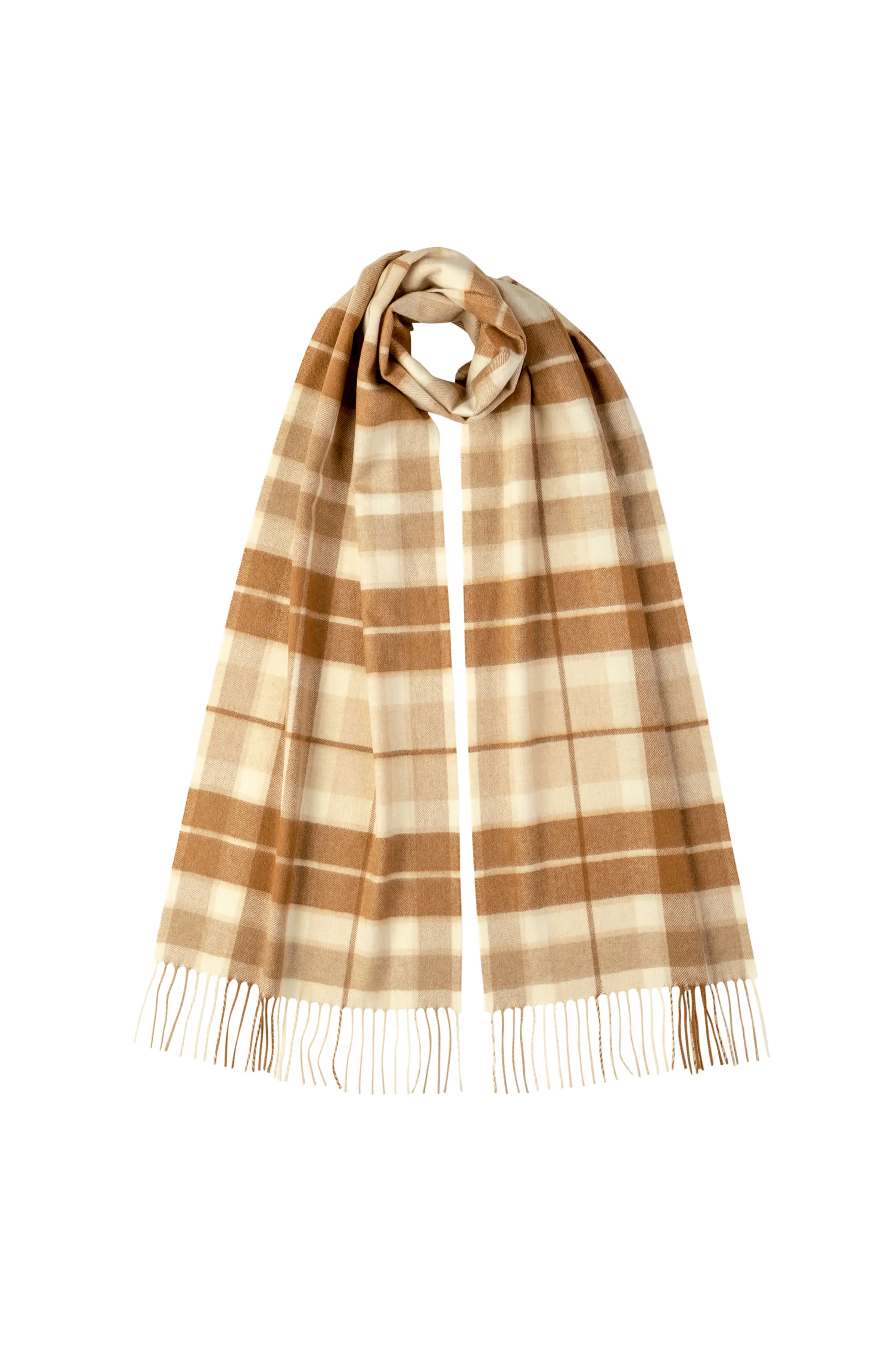 Check Cashmere Vicuña Scarf